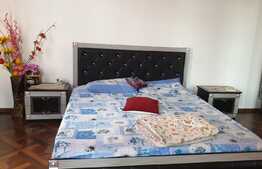 Apartament la casa, 95 mp, 105 mp teren, Piata Catedralei