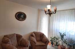 Apartament 2 camere, 55 mp, decomandat, zona Alfa!