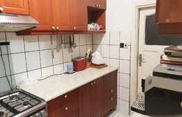 Apartament de 5 camere la casa cu terasa si gradina, Aradul Nou!