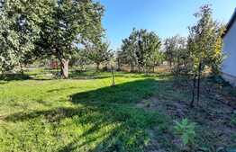 Apartament de 5 camere la casa cu terasa si gradina, Aradul Nou!