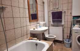 Apartament de 5 camere la casa cu terasa si gradina, Aradul Nou!