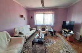 Apartament de 5 camere la casa cu terasa si gradina, Aradul Nou!