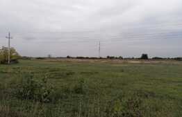 Teren extravilan de 18000 mp, in Arad