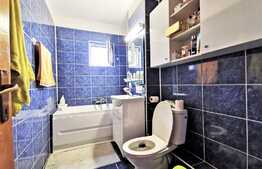 Apartament 4 camere, la cheie, zona linistita, Regina Maria, Micalaca