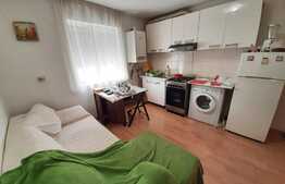 Apartament 2 camere, etaj intermediar, 40 mp, zona Dragasani!