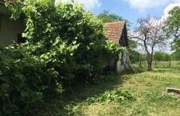 Urgent! Teren intravilan 2368 mp, front stradal 17 ml, Tisa Noua