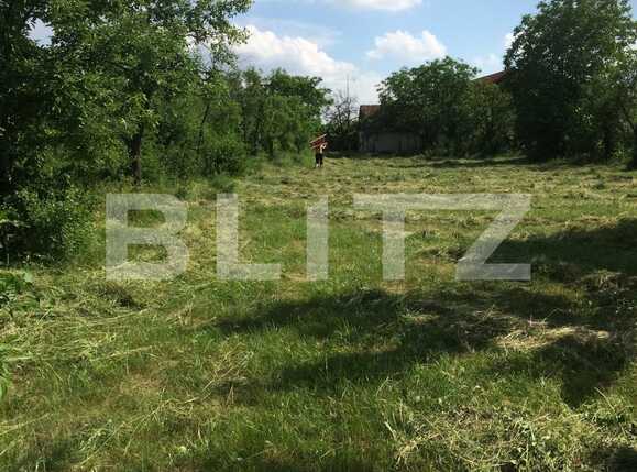 Teren de vânzare Sud - 73190TV | BLITZ Arad | Poza2