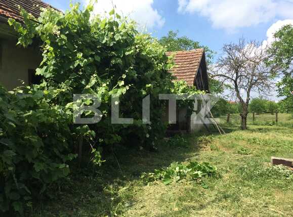 Teren de vânzare Sud - 73190TV | BLITZ Arad | Poza3