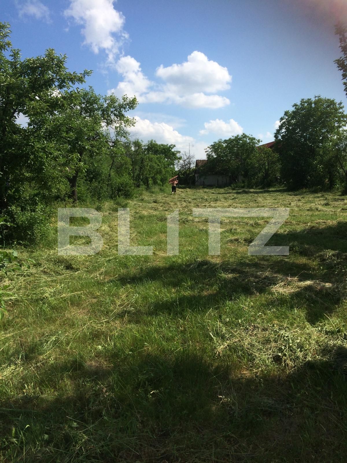 Teren de vânzare Sud - 73190TV | BLITZ Arad | Poza2