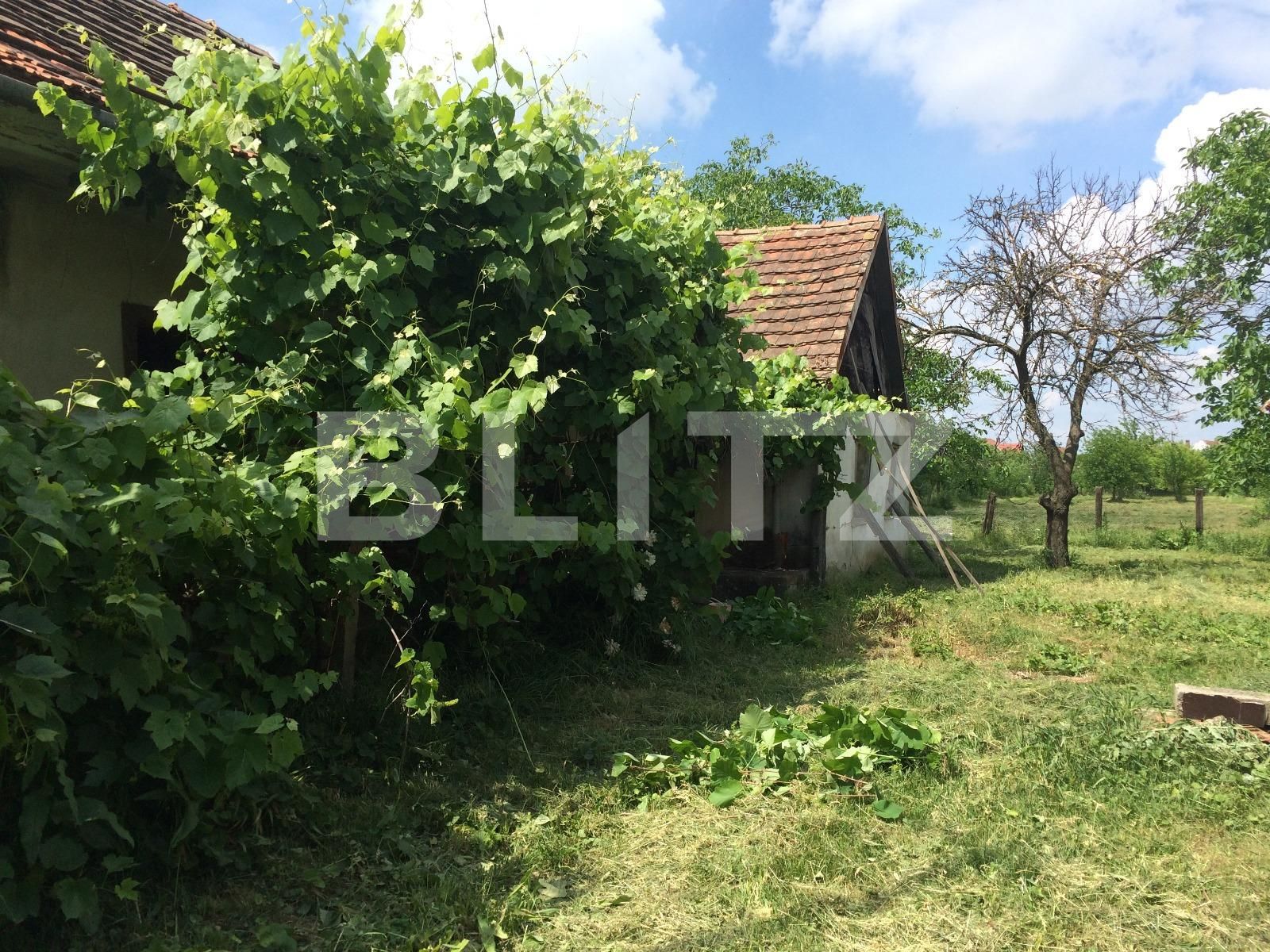 Teren de vânzare Sud - 73190TV | BLITZ Arad | Poza3