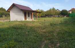 OCAZIE casa 90 mp, teren 1000 mp, front stradal 16,5 ml, Chisineu-Cris