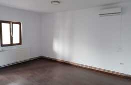 OCAZIE casa 90 mp, teren 1000 mp, front stradal 16,5 ml, Chisineu-Cris