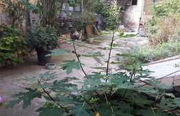 OCAZIE Unica! Apartament 1 camera, 37 mp,km0 !