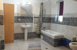 OPORTUNITATE duplex 123 mp utili, teren 250 mp, Viacarmina, Vladimirescu