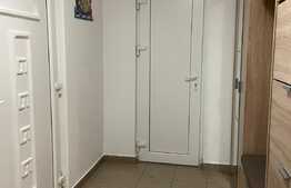 OPORTUNITATE duplex 123 mp utili, teren 250 mp, Viacarmina, Vladimirescu