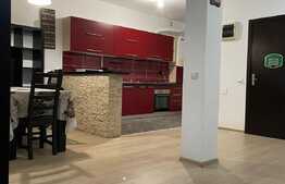 OPORTUNITATE duplex 123 mp utili, teren 250 mp, Viacarmina, Vladimirescu