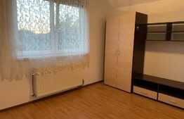 OPORTUNITATE duplex 123 mp utili, teren 250 mp, Viacarmina, Vladimirescu