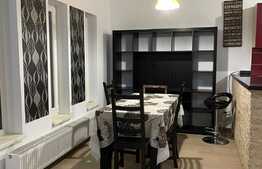 OPORTUNITATE duplex 123 mp utili, teren 250 mp, Viacarmina, Vladimirescu