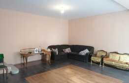 Casa individuala P+M 220 mp, teren 380 mp, in Sega