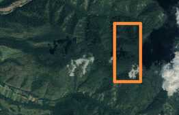 Teren extravilan/pădure 52000 mp 