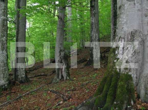 Teren de vânzare Est - 73800TV | BLITZ Arad | Poza1