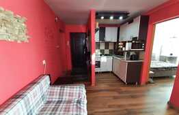 Apartament la cheie de 3 camere, Parter, 56 mp, zona Alfa