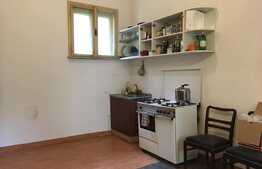 Oportunitate investiție! 2 Apartamente in centru Aradului 342,14 mp utili, Negociabil!