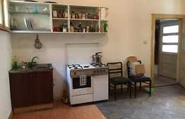 Oportunitate investiție! 2 Apartamente in centru Aradului 342,14 mp utili, Negociabil!