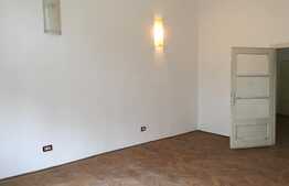 Oportunitate investiție! 2 Apartamente in centru Aradului 342,14 mp utili, Negociabil!