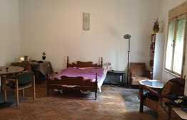 Oportunitate investiție! 2 Apartamente in centru Aradului 342,14 mp utili, Negociabil!