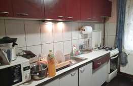 Ocazie investitie! Apartament de 2 camere, 51 mp, parter, Confectii!