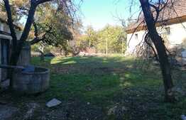 Casa individuala, cu teren de 2176 mp, partial mobilata, in Minis