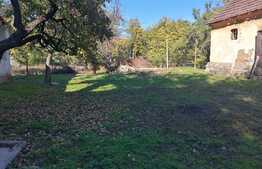 Casa individuala, cu teren de 2176 mp, partial mobilata, in Minis