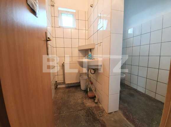 Spațiu comercial de închiriat Alfa - 74509SIC | BLITZ Arad | Poza7