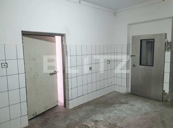 Spațiu comercial de închiriat Alfa - 74509SIC | BLITZ Arad | Poza2