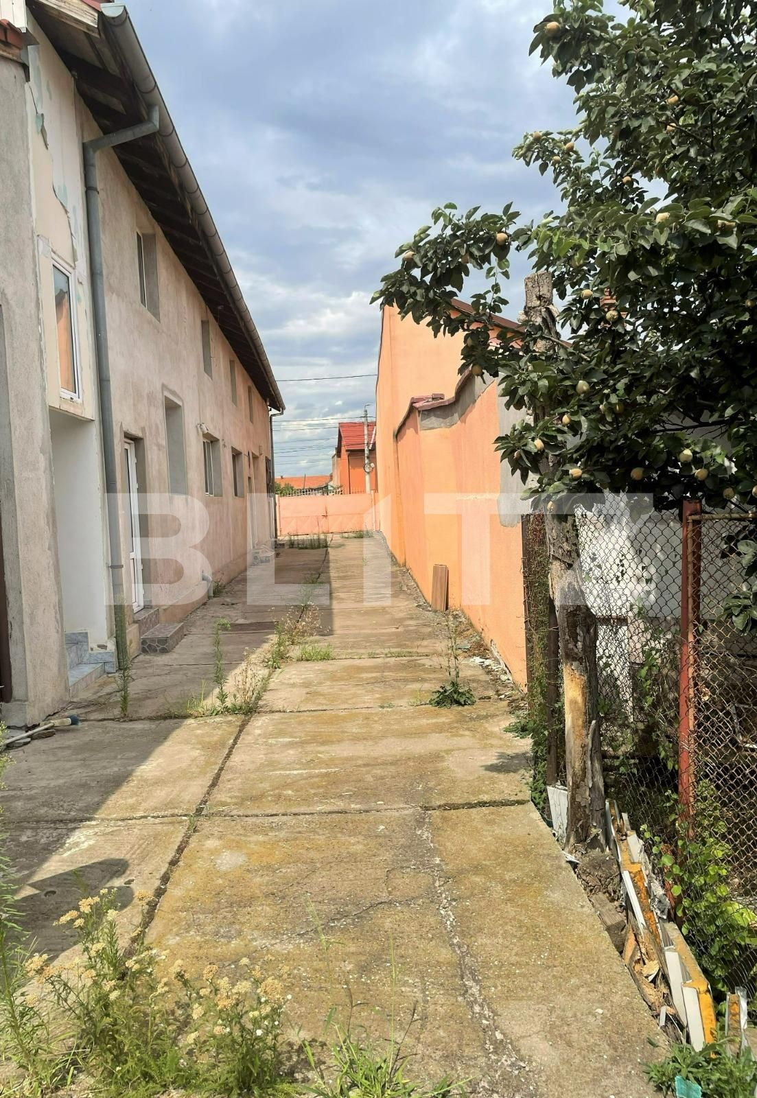 Spațiu comercial de închiriat Alfa - 74509SIC | BLITZ Arad | Poza10