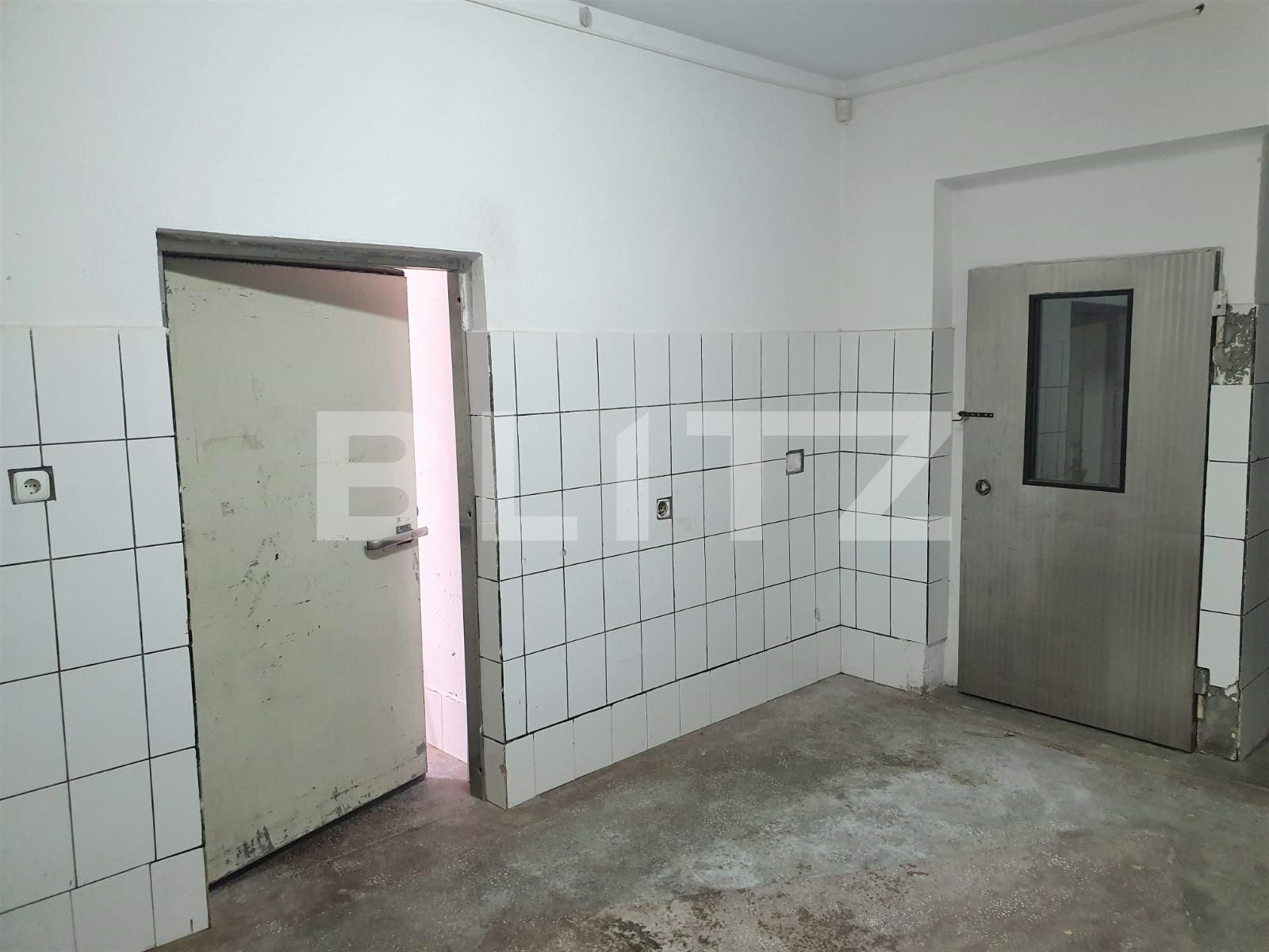 Spațiu comercial de închiriat Alfa - 74509SIC | BLITZ Arad | Poza2