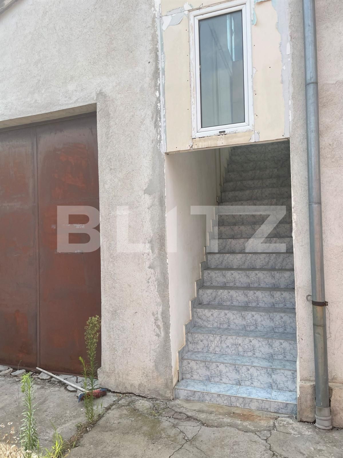 Spațiu comercial de închiriat Alfa - 74509SIC | BLITZ Arad | Poza6