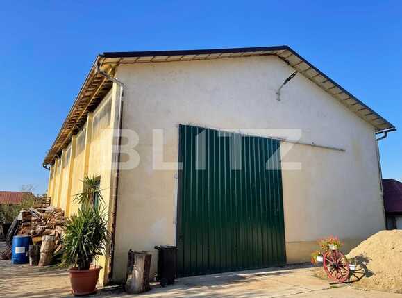 Spațiu industrial de închiriat Est - 74512SII | BLITZ Arad | Poza1