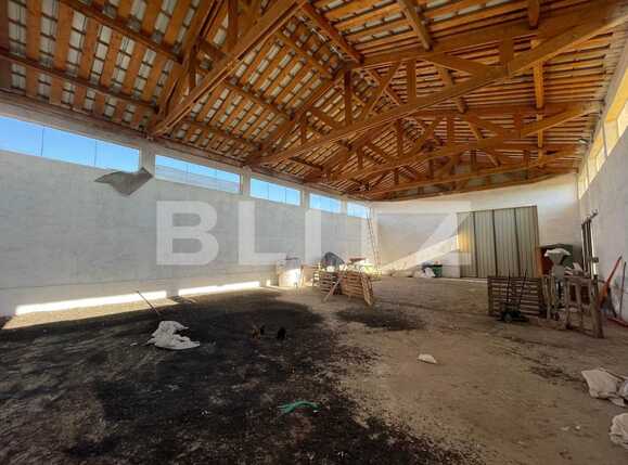 Spațiu industrial de închiriat Est - 74512SII | BLITZ Arad | Poza3