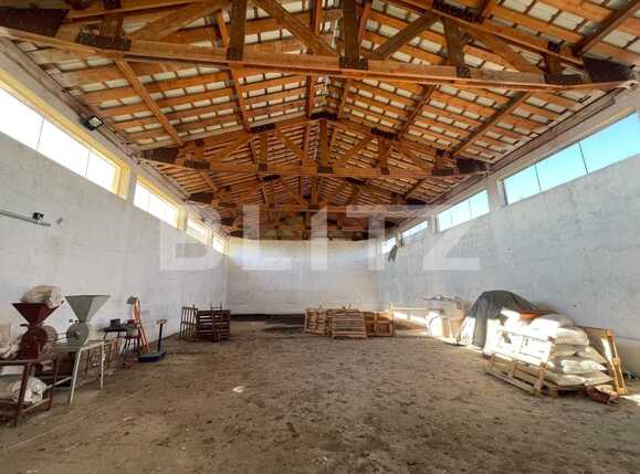 Spațiu industrial de închiriat Est - 74512SII | BLITZ Arad | Poza2