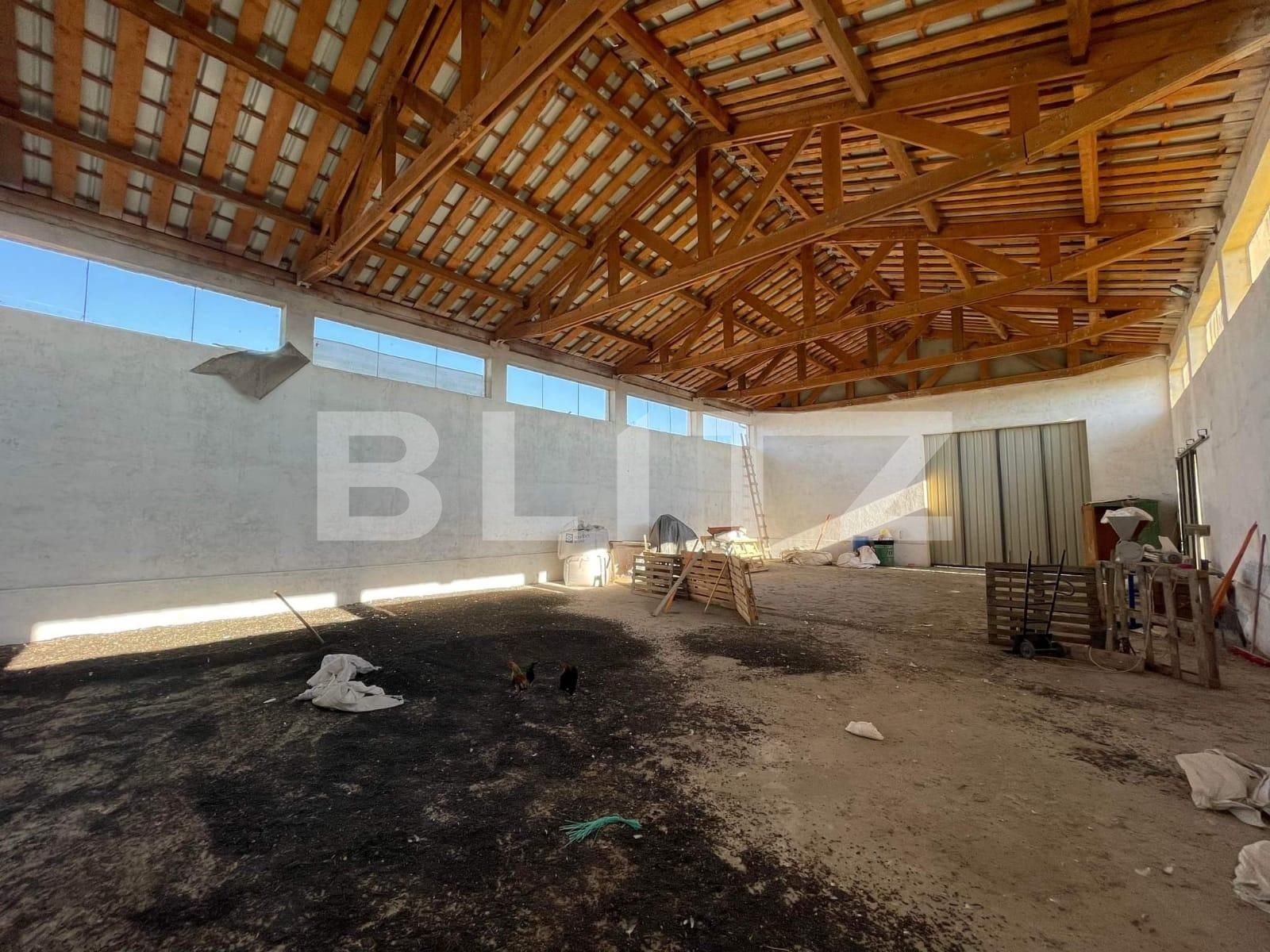 Spațiu industrial de închiriat Est - 74512SII | BLITZ Arad | Poza3