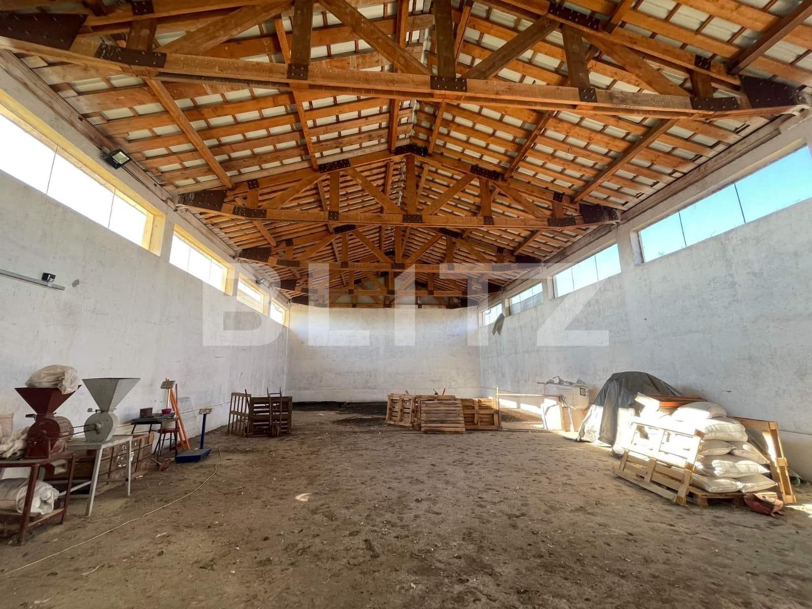 Spațiu industrial de închiriat Est - 74512SII | BLITZ Arad | Poza2