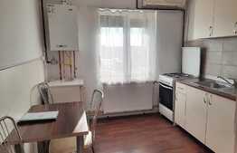 Garsoniera confort 1, la cheie, 25 mp, zona Confectii!