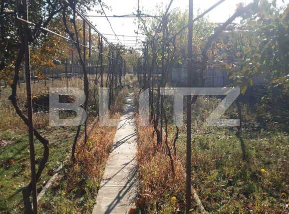 Casa de vânzare 4 camere Sannicolau Mic - 74620CV | BLITZ Arad | Poza18