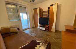 Apartament 2 camere, oportunitate investiție, zona Podgoria 