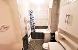 Apartament spatios, 2 camere, decomandat, la cheie, Vlaicu, zona Lebada