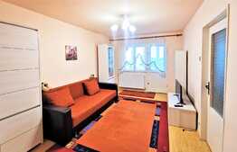 Apartament spatios, 2 camere, decomandat, la cheie, Vlaicu, zona Lebada