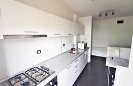 Apartament lux, la cheie, 2 camere, Vlaicu, zona Galeria Mall