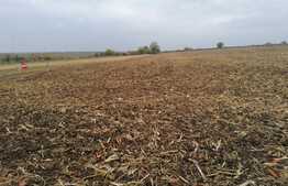 Investitie! Teren extravilan 30000 mp, in Bujac